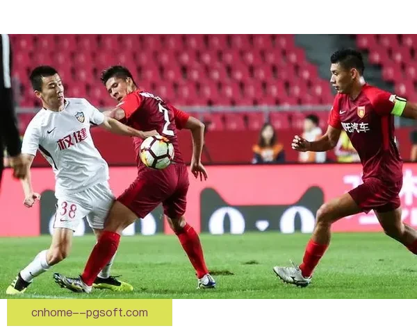 中国足协职业联赛财务审计及规范管理研究分析 中国足协职业联赛财务审计及规范管理研究分析