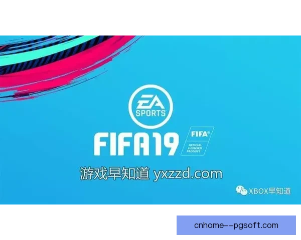 新手也能学会的FIFA国际比赛日赛程查阅全指南方法与渠道解析